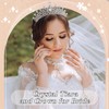 20 Pcs Crystal Queen Tiara Crown for Women with Combs,