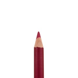 Palladio Lip Liner Pencil, Wooden, Firm yet Smooth, Perfectly Outlined Lips, Hydrating, Moisturizing, Rich Pigmented Color, Long Lasting, Pink Frost