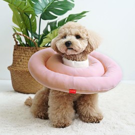 ParisDog WSISTERS Double Sisters, Dog, Cat, Soft, Not Hard, Painless, Pillow, Easy Care Products, Skin Protection, Cute, Popular, Small Dog, Sale, 100% Cotton, ParisDog WSISTERS Double Sisters, Easy