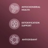 Dr. Mercola Nac 500mg Con Cardo Mariano Antioxidantes Salud