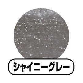 Double Makeup Shadow Shiny Gray