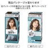 Liese Prettia Bubble Color Hair Dye