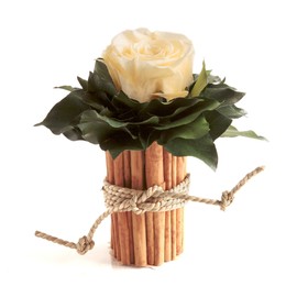 ROSEMARIE SCHULZ Heidelberg 1 Eternal Rose Champagne Vase Cinnamon Sticks Rose Box Preserved Country House Decoration (Beige)