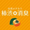 CARALL(カーオール) 晴香堂 車用 芳香剤 柿渋消臭 置き型 微香シトラス 100g 3014