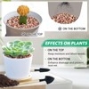 Succulent Rocks for Plants Tiny Pebbles for Planters 4.8LB Pea