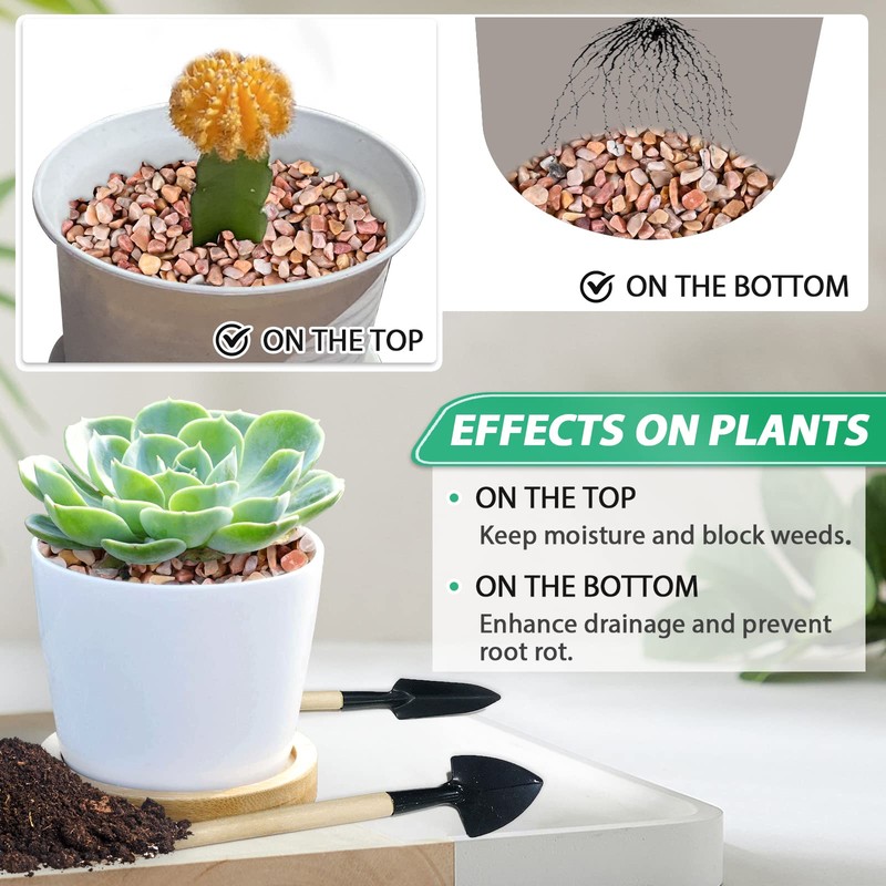 Succulent Rocks for Plants Tiny Pebbles for Planters 4.8LB Pea