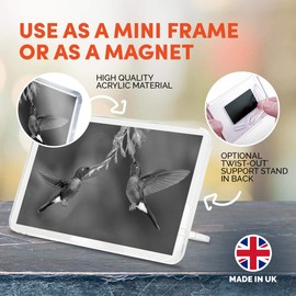 1 x Fridge Magnet - Hummingbirds Wildlife Small Bird #37563