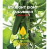 Cucumber Seeds, 100+ Straight Eight, Heirloom, Non GMO Seeds, Cucumis