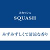 CARALL(カーオール) 晴香堂 車用 芳香剤 グレア 缶 スカッシュ 60g 1055