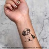 4 x 'Havanese Dog' Temporary Tattoos - Water Resistant, Skin-Safe,