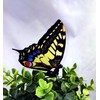 Active Aliforms Moving Butterfly - Swallowtail