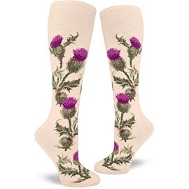 ModSocks Women's Thistle Knee High Socks in Heather Cream