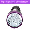 AHOME V30 UV 385-395nm Blacklight Flashlight [USB Rechargeable] Black Light