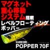 DUEL HARDCORE R1379-BN HARDCORE POPPER Lure, 2.8 inches (70 mm),