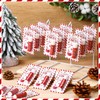 Sacubee 25 Pack Christmas Hot Cocoa Flavor Lip Balms Gifts