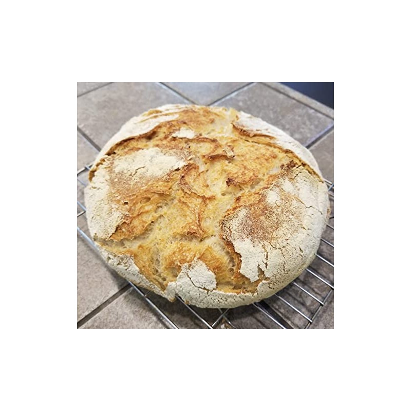 100% Einkorn Sourdough Starter - Dehydrated, Dried Sourdough Starter for