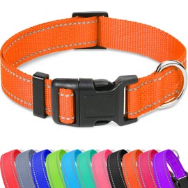 Taglory Reflective Adjustable Dog Collars for Puppy Small Medium Large Dogs, Thin Nylon Webbing and Quick Release Plastic Buckle(Orange, XSmall)