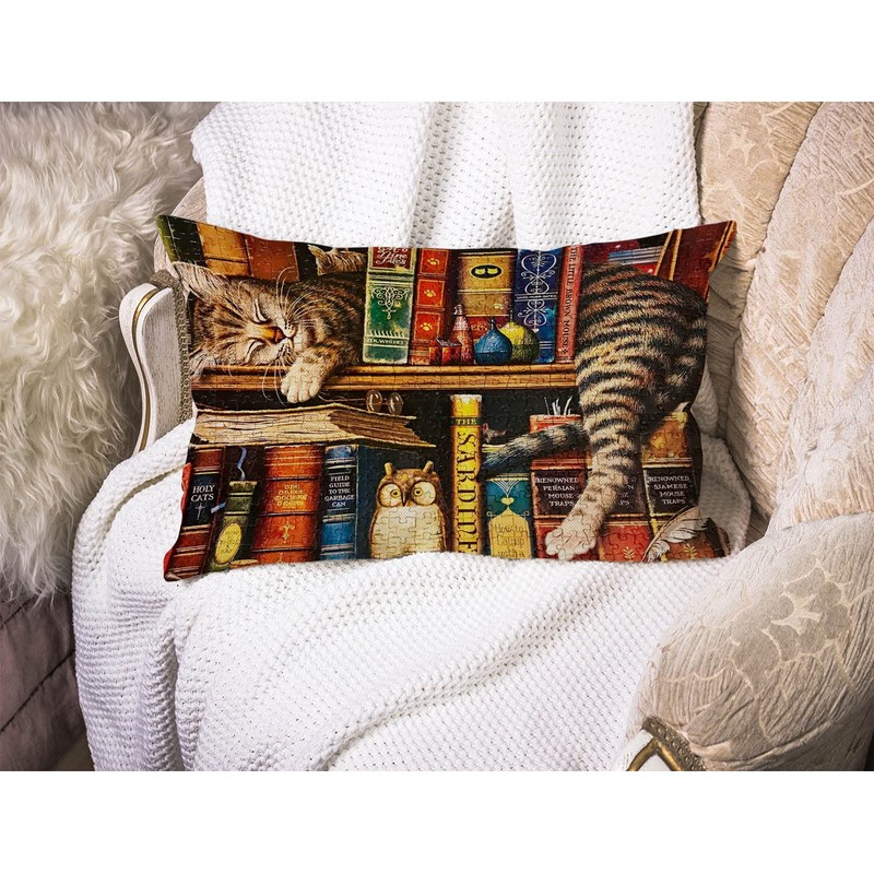 BGBDEIA Cat Cushion Cover Funny Cartoon Bookshelf Sleeping Cat Cotton