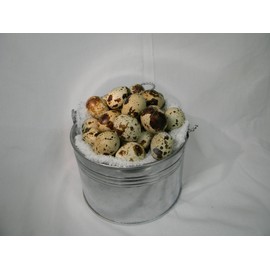 New York State, Natural, Grade A, 4 Trays of 18 Coturnix Quail Eggs (72 Eggs)