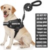 Service Dog Vest, DEWVIE Dog Harness and Leash Set with