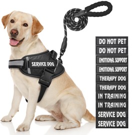 Service Dog Vest, DEWVIE Dog Harness and Leash Set with 10 Patches, Breathable in Training Pet Vest Harness with Soft Handle for Small Medium Large Dogs (Black, Small)