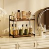 Homeiju Multi-Purpose Bathroom Counter Organizer, 2-Tier Wall-Mounted Storage Organizer Shelf