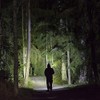Feit Electric FL500 - Linterna LED AAA de 500 lúmenes,