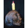 Skeletons And More Lighted Corspe Head Display