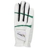 ARNOLD PALMER APG Golf Gloves APG-116 Men's White X Green