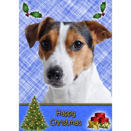 Jack Russell Dog Christmas Card 'Happy Christmas'