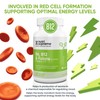 Nutri Supreme, Folate with B6 and B12, Helps Maintain Normal
