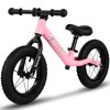 12" Balance Bike for 2, 3, 4, 5 Year Old Boys and Girls, Lightweight Nylon Frame Toddler Training Bike No Pedal Bikes for Kids with Adjustable Seat and Air Tires (Pink)