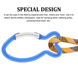 BESPORTBLE Pack of 10 Stainless Steel Carabiners: High Performance Spring Snap Hook for Camping Swing Hiking