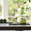 HARIO Clear Teapot Without Lid, Practical Use, 15.9 fl oz