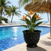 Black Lava Texture Resin Planter-Hand-painted Irregular Shape Wave-edge Flowerpot. Japanese