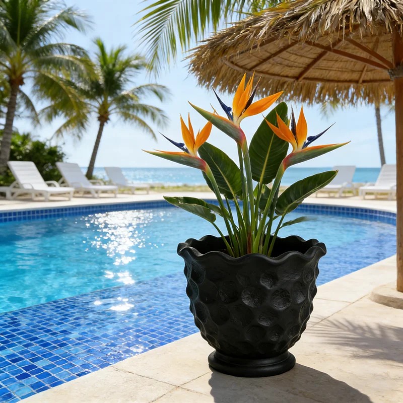 Black Lava Texture Resin Planter-Hand-painted Irregular Shape Wave-edge Flowerpot. Japanese