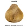 L'Oréal Technique HiColor Blonde HiLights Permanent Hair Color for Dark