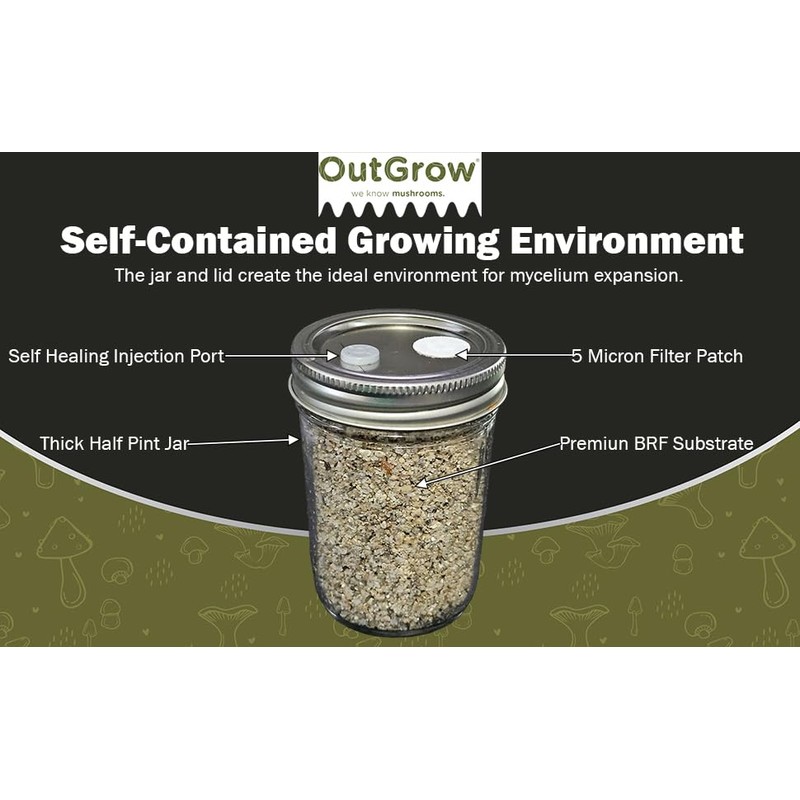 BRF Jars Mushroom Substrate (12 Pack)