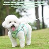 AIITLE Durable Dog Harness and Leash Set for Walking, Step