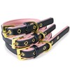 CoreLife Girl Dog Collar/Cat Collar Adjustable XS - Small Pink
