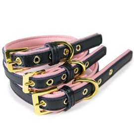 CoreLife Girl Dog Collar/Cat Collar Adjustable XS - Small Pink Soft & Comfy Padded Leather Puppy Cute Pet Collars - Black