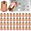 Pack of 100 Rivet Nuts M6 Galvanised Carbon Steel, Flat