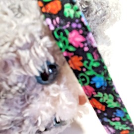 Handmade "New" Cat Collar Handmade - Meadow of Flowers On Black Cotton Fabric