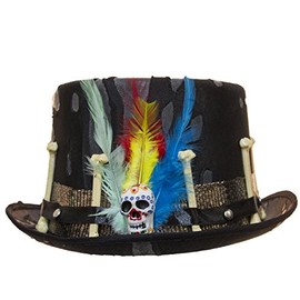 Jacobson Hat Company Men's Witch Doctor Top Hat, Black
