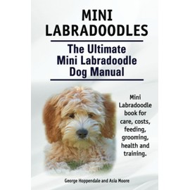 Mini Labradoodles. The Ultimate Mini Labradoodle Dog Manual. Miniature Labradoodle book for care, costs, feeding, grooming, health and training.