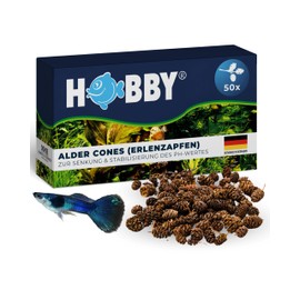 Hobby 51115 Alder Cones