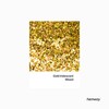 Hemway Resin Glitter Gold and Iridescent Mix 100g Mixed Chunky