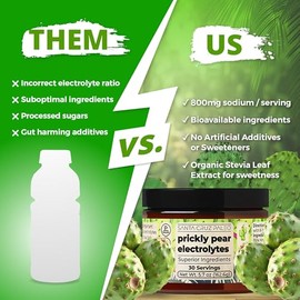 Santa Cruz Paleo Polvo de electrolitos de sal real, tuna, mezcla de bebida hidratante elaborada con sal rosa del Himalaya, sal marina, sin gluten, cetogénica, sin azúcar, paleo, 30 porciones, 1 fras