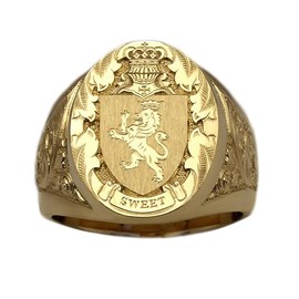 SUKKCCNO 18K Yellow Gold Plated 925 Sterling Silver Lion Shield Badge Signet Ring, Size 12, Yellow, Cocktail Party, Unisex, Modern, No Gemstone