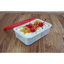 Fuji Hollow Miffy & Animals Shallow Shape Square Container M MF24-M